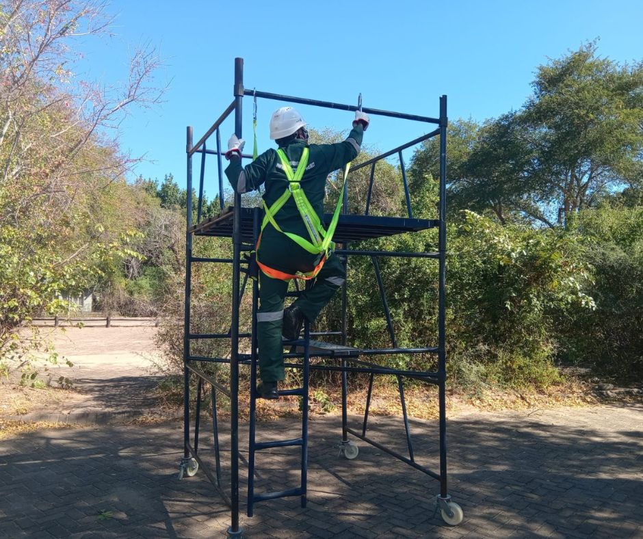 untitled design 6.jpg